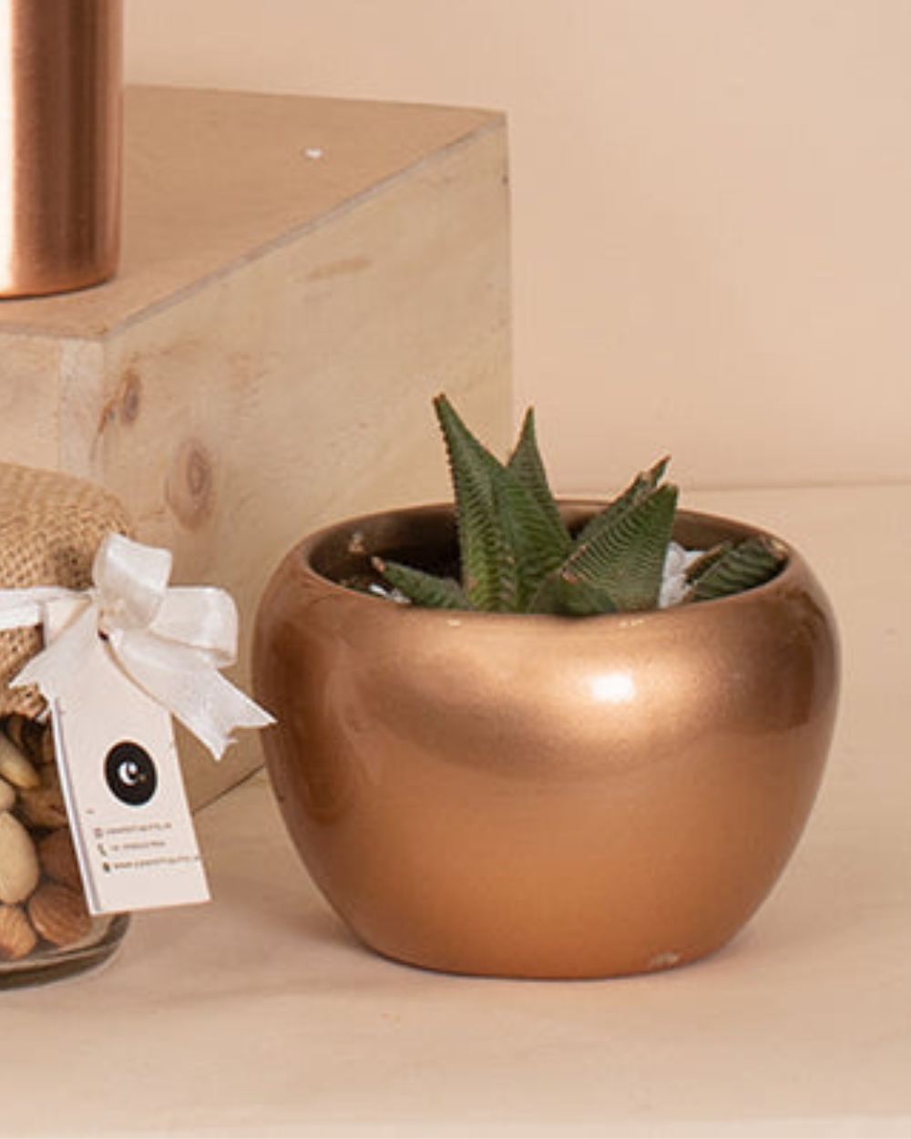 Copper Planter With Succulent Plant