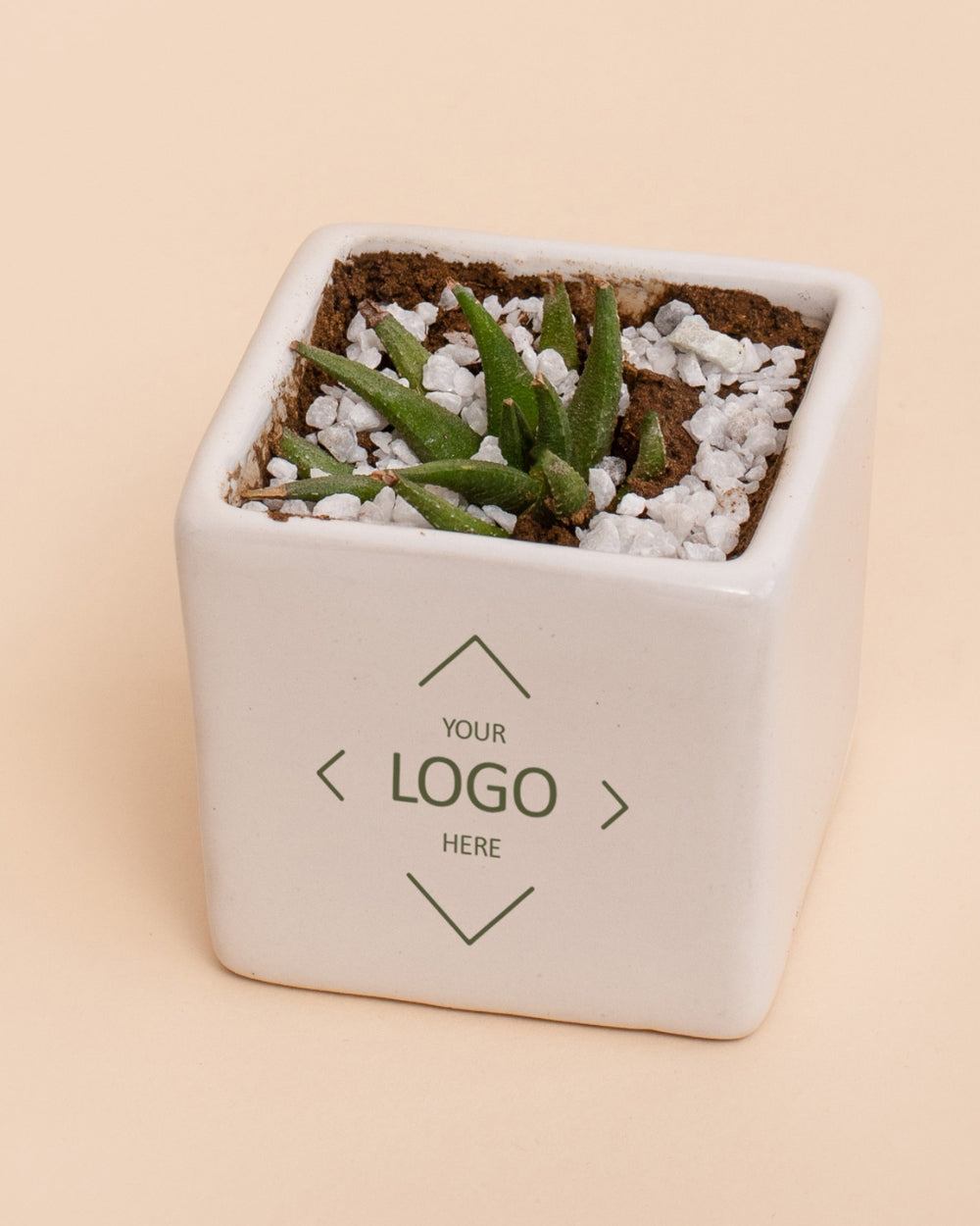 Desk Essentials Kit